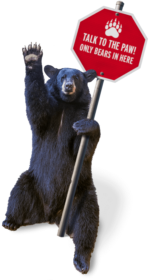 Baylor mascot, the bear, Indy, holds a stop sign that reads 'Talk to the paw! Only bears in here.'